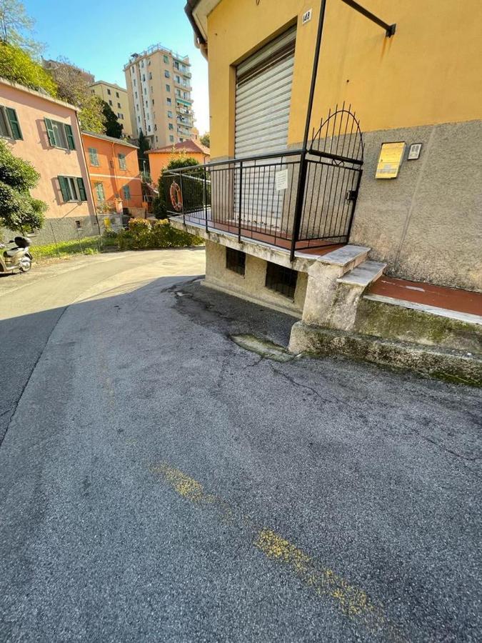 Zena Villa Cenova Dış mekan fotoğraf